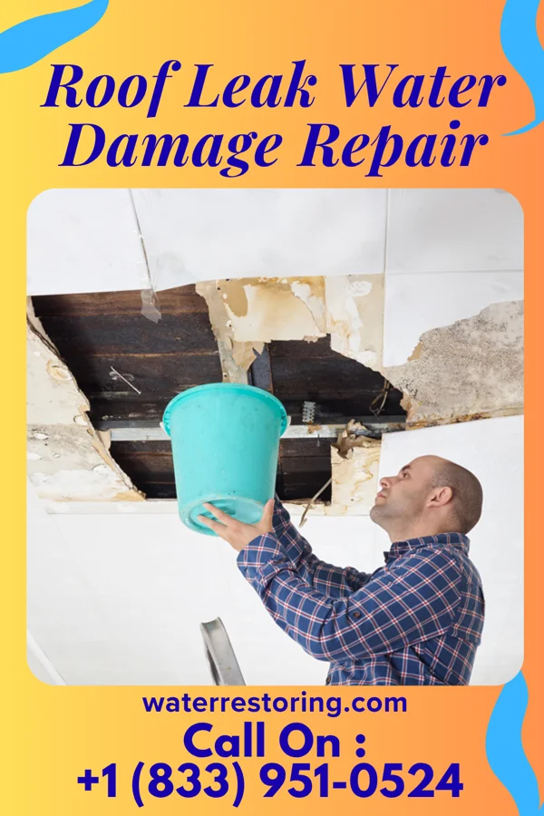 Roof Leak Water Damage Repair in Pettibone, ND